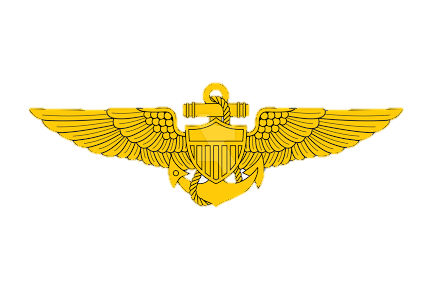 Aviation gold wings insignia for pin